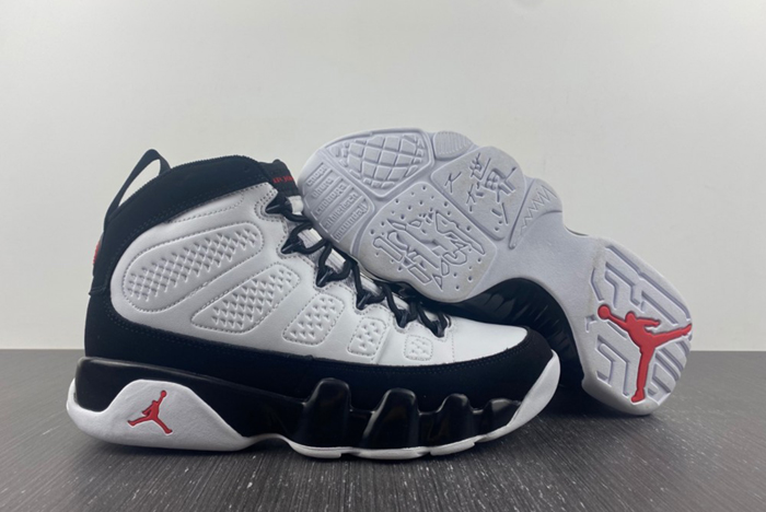 Air Jordan 9 302370-112