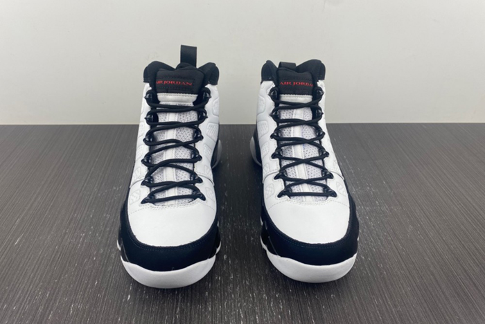Air Jordan 9 302370-112