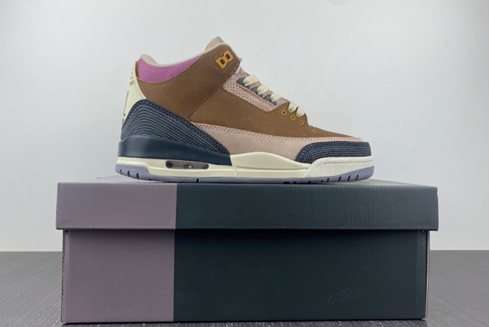 Air Jordan 3 Retro SE AJ3 DR8869-200