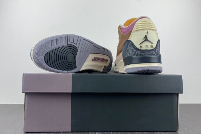 Air Jordan 3 Retro SE AJ3 DR8869-200