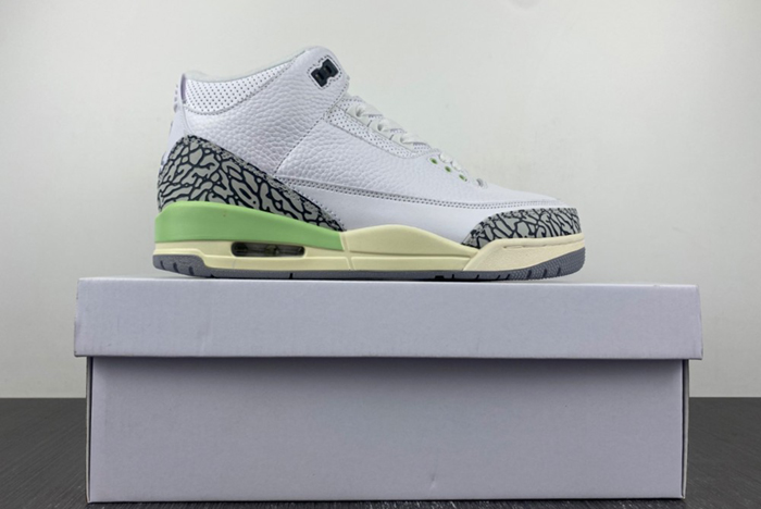 Air Dark Mocha AJ3 CK9246-103
