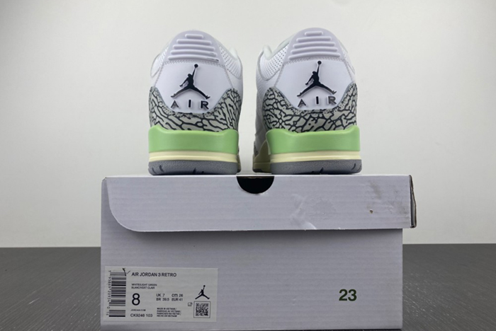 Air Dark Mocha AJ3 CK9246-103