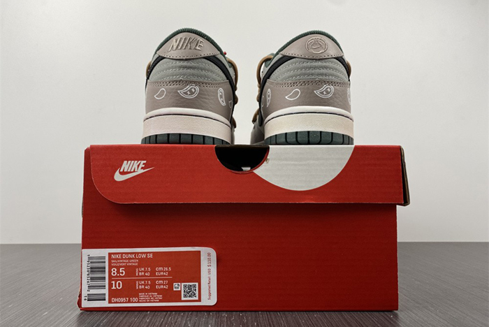 Nike Dunk Low RETRO DH0957 100