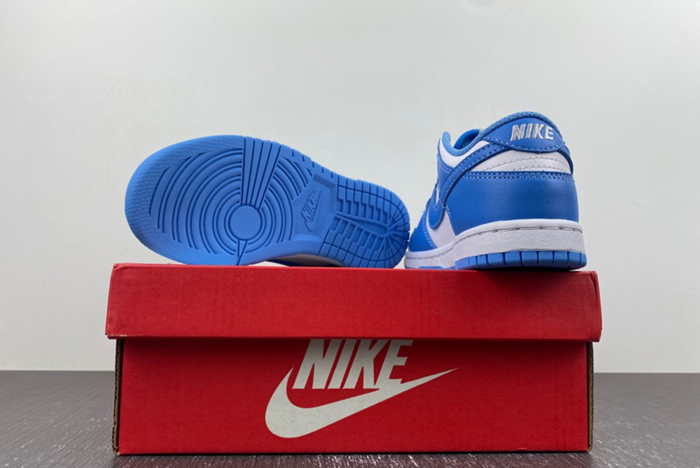 PS) Nike Dunk Low 