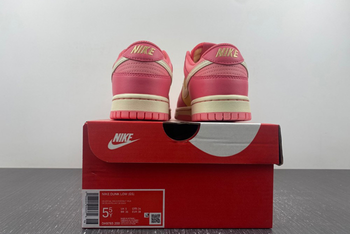 (NIKE) DUNK LOW (GS) DH9765-200